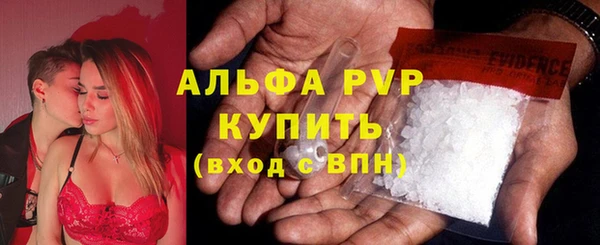 трава Осинники