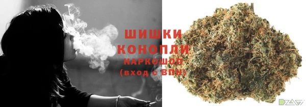 трава Осинники