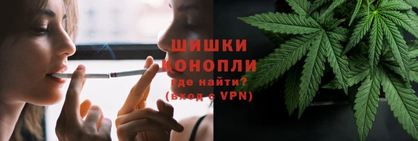 трава Осинники