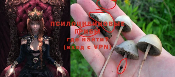 Альфа ПВП Осташков
