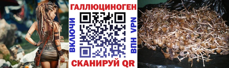 мега ССЫЛКА  Иноземцево  Псилоцибиновые грибы мицелий 